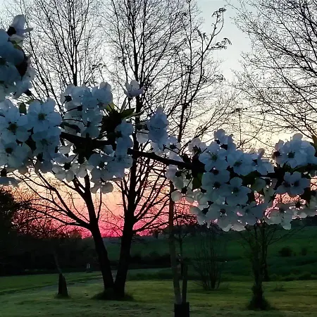 Casa de Férias Repos Et Detente Au Coeur Des Richesses Du Poitou *