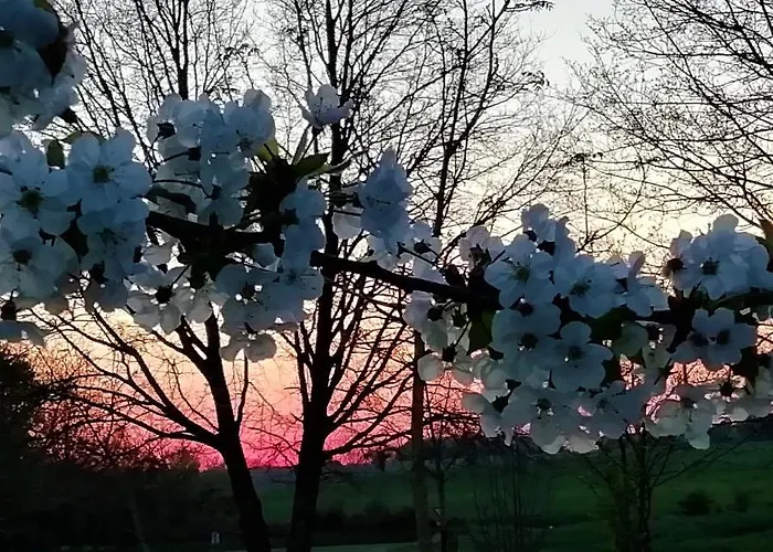 בית נופש Repos Et Detente Au Coeur Des Richesses Du Poitou *