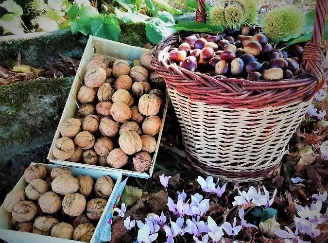 Repos Et Detente Au Coeur Des Richesses Du Poitou *