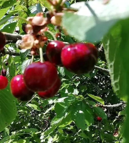 בית נופש Repos Et Detente Au Coeur Des Richesses Du Poitou